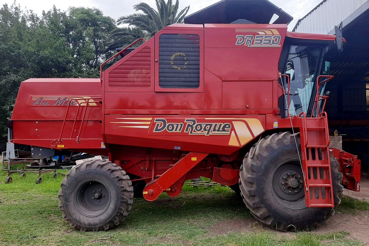 Don Roque 550